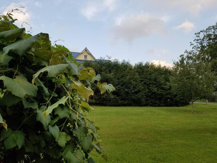 Holiday home Basecampwv-durbin. Spacious 4 Bedroom House W/yard Durbin